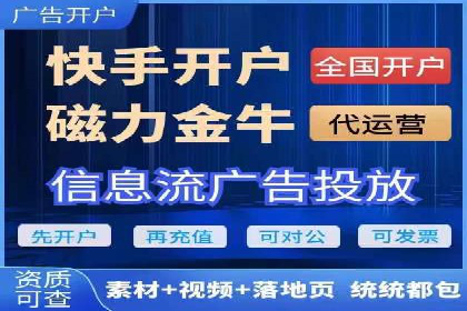 SEM服务案例：提升网站流量
